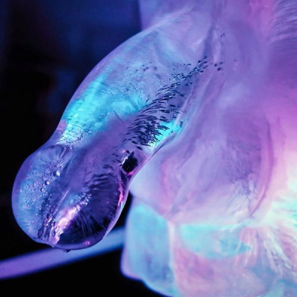 Huge Penis Ice Luge - Party Novelty - Image 3