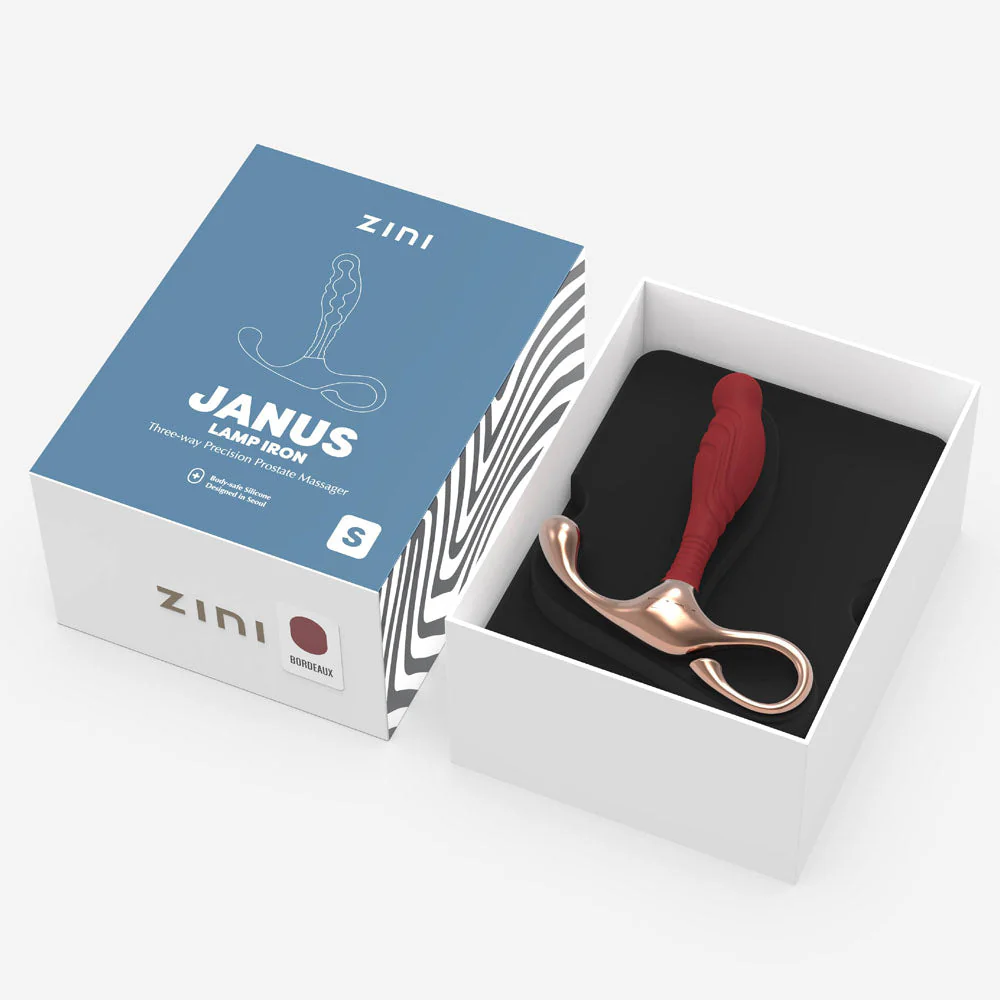 Zini Janus Lamp Iron - Small - Red Small Prostate Massager - Image 5